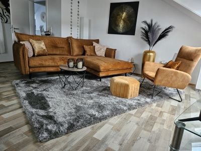 Stylisches modernes Apartment ca. 50 qm, Klima, Parken am Haus