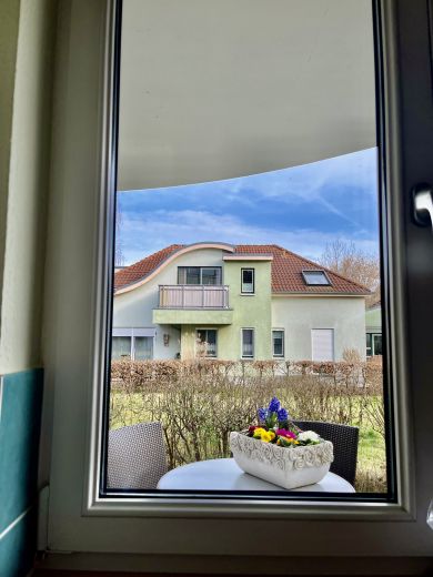 Ausblick Küche