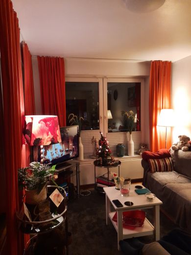 Sch&ouml;nes, gut geschnittenes und ruhiges Apartment direkt an der Spree in Charlottenburg