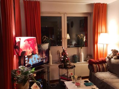 Sch&ouml;nes, gut geschnittenes und ruhiges Apartment direkt an der Spree in Charlottenburg