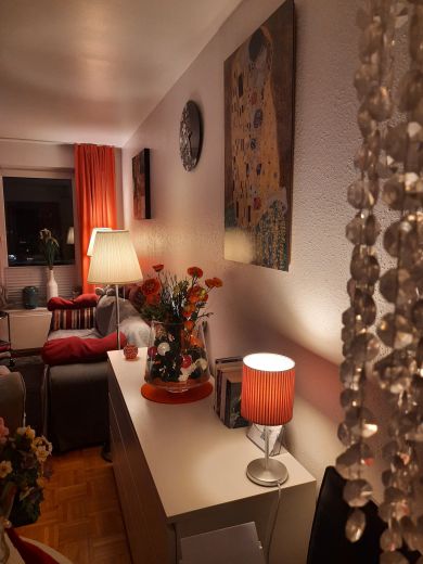 Sch&ouml;nes, gut geschnittenes und ruhiges Apartment direkt an der Spree in Charlottenburg