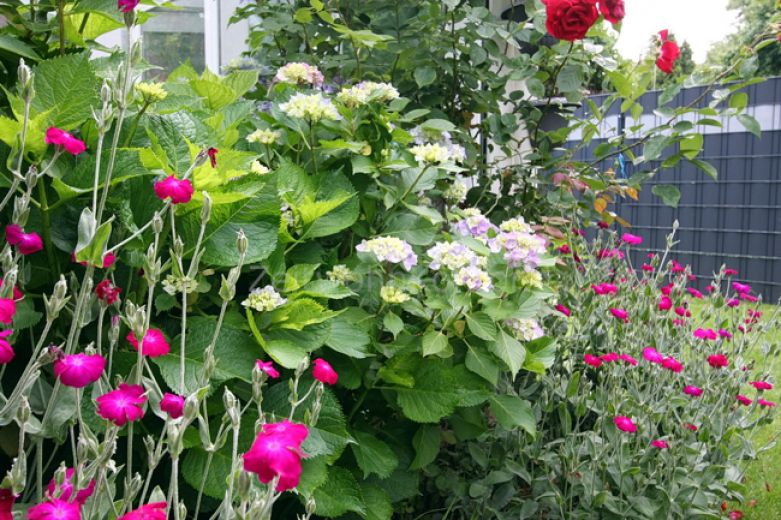 Große verglaste Terrasse, Kaminofen,  Garten, hochwertig u. schick möbl., ruhig und grün, gut angebunden.