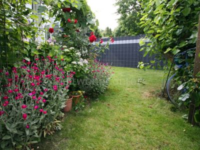 Große verglaste Terrasse, Kaminofen,  Garten, hochwertig u. schick möbl., ruhig und grün, gut angebunden.