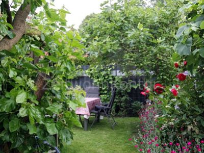Große verglaste Terrasse, Kaminofen,  Garten, hochwertig u. schick möbl., ruhig und grün, gut angebunden.