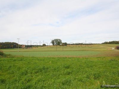 1,5 Zimmer-Galerie-Wohnung im Holzhaus mit Balkon -  bei Otterfing