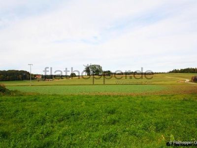 Gem&uuml;tliche 2-Zimmer-Wohnung mit Terrasse im Holzhaus - Baiernrain bei Otterfing