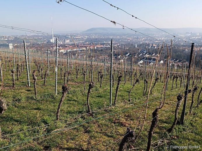 Traumhafte 4-Zimmer-Wohnung mit Balkon in Stuttgart
