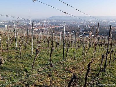 Traumhafte 4-Zimmer-Wohnung mit Balkon in Stuttgart