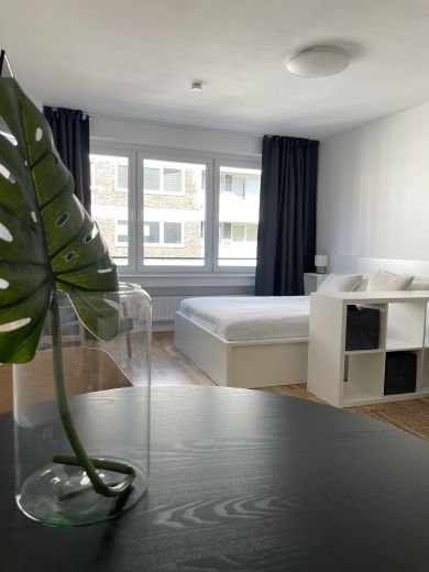 Stilvoll m&ouml;bliertes Apartment im Szene-Viertel - Zweitbezug nach Sanierung