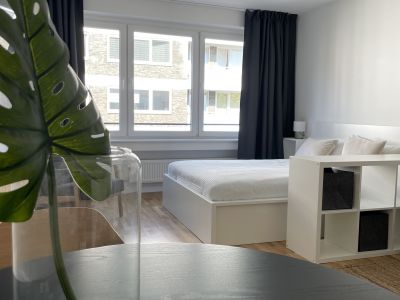Stilvoll m&ouml;bliertes Apartment im Szene-Viertel - Zweitbezug nach Sanierung