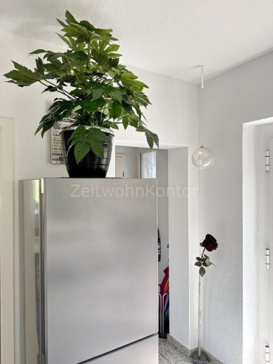 Exclusive house, style and functionality, with garden and terrace, garage, quiet and central