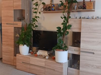 Wohnung auf  Zeit  Siemensstadt