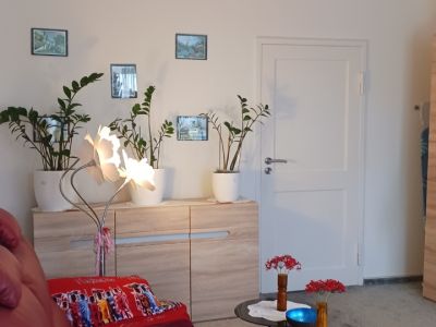 Wohnung auf  Zeit  Siemensstadt
