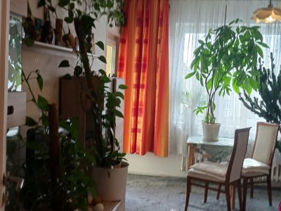 Wohnung auf  Zeit  Siemensstadt