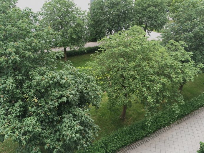1 Zimmer in möblierter 3-Zimmer-Wohnung  mit großem Südbalkon in München Neuperlach