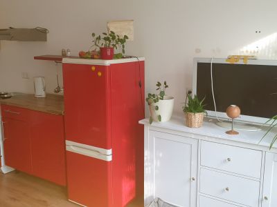 Schöne möblierte Zweiraumwohnung im Schillerkiez (Neukölln)