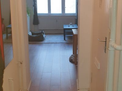 Schöne möblierte Zweiraumwohnung im Schillerkiez (Neukölln)