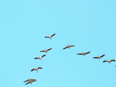 Ein Zuhause auf Zeit – in der stillen Weite von Rügen