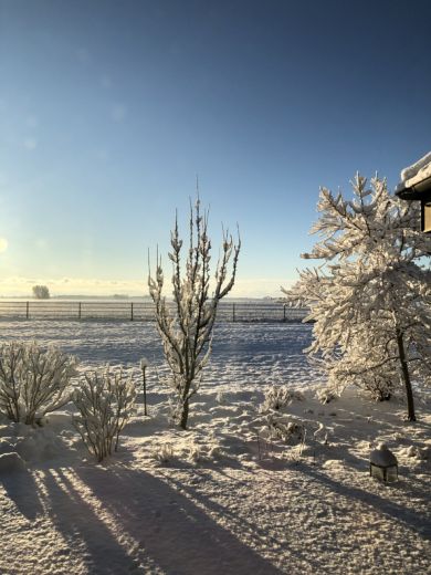 Ein Zuhause auf Zeit – in der stillen Weite von Rügen