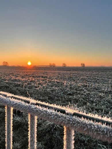 Ein Zuhause auf Zeit – in der stillen Weite von Rügen