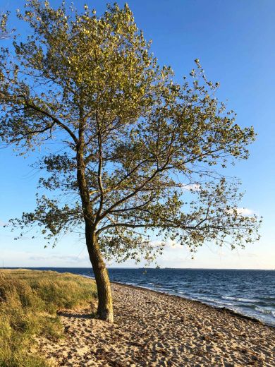 Ein Zuhause auf Zeit – in der stillen Weite von Rügen