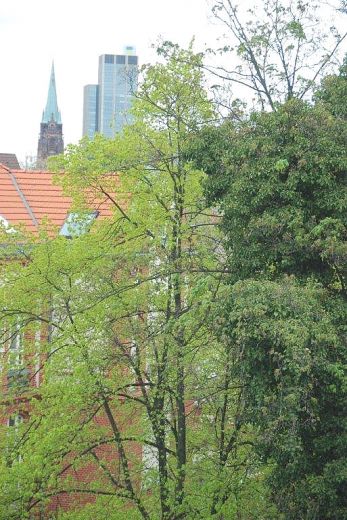 Unterbilk: Prima 2-Zimmer mit Balkon und grandiosem Günblick