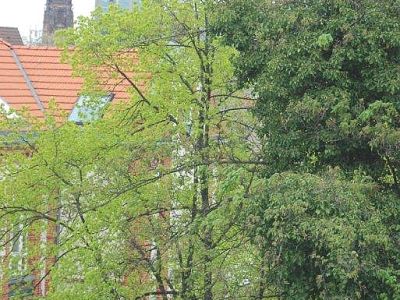 Unterbilk: Prima 2-Zimmer mit Balkon und grandiosem Günblick
