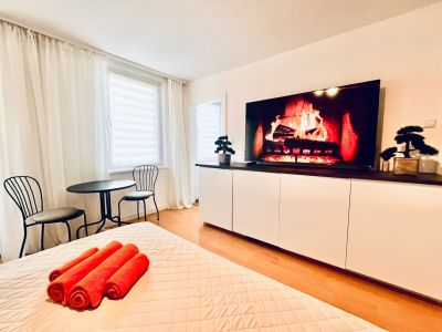 Sanierte, möblierte Wohnung mit Balkon mit gehobener Ausstattung