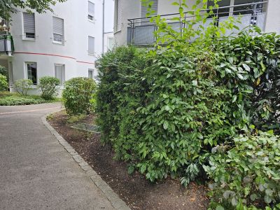 Wohnung in TOP Lage
