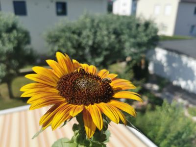 Ausblick