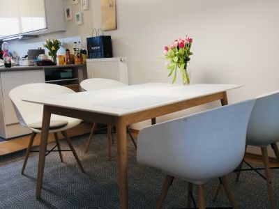 Helles, möbliertes Studio in Weingarten bei Karlsruhe