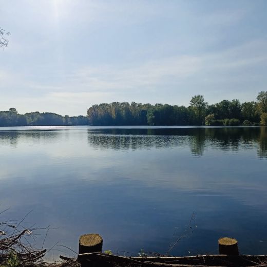 Helles, möbliertes Studio in Weingarten bei Karlsruhe