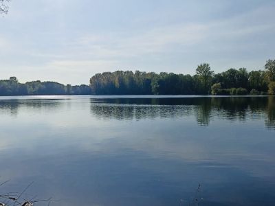 Helles, möbliertes Studio in Weingarten bei Karlsruhe
