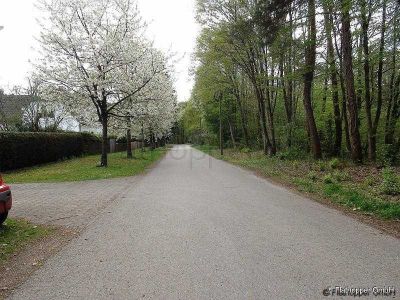Charmante, renovierte und ruhige 2-Zimmer- Wohnung mit Sonnenterrasse im Vorgarten M&uuml;nchens-Moosach