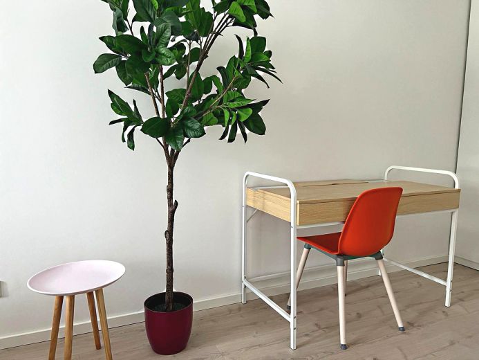 Kernsanierte 5-Zimmer-Wohnung mit Dachterrasse Ecke Schadowstraße / Grafenberger Allee
