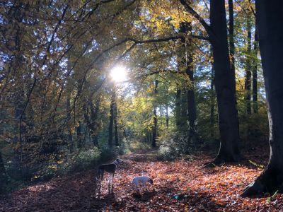Elegantes Wohnen im Hofgut Angerland