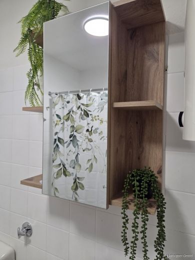 Gepflegtes Apartment in Schwetzingen