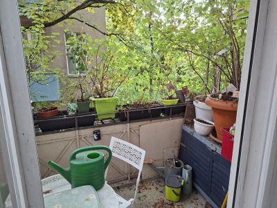 2 Zimmer in Berlin-Schöneberg