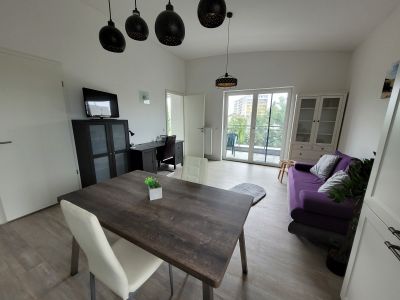 Modern möblierte 2-Zimmer-Penthouse-Wohnung mit Balkon in ruhiger, zentraler Lage Bonn-Auerberg