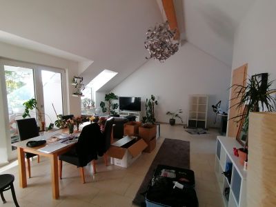 Traumhafte 2 ZW Neubau Dachloftwohnung 69 QM neu möbliert ,Frankfurt,Süd-nähe S-Bahn