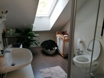 Traumhafte 2 ZW Neubau Dachloftwohnung 69 QM neu möbliert ,Frankfurt,Süd-nähe S-Bahn