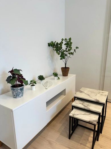 Fürstenwall: komplett saniertes 1-Zimmer-Appartment im Hinterhof