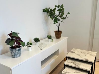 Fürstenwall: komplett saniertes 1-Zimmer-Appartment im Hinterhof