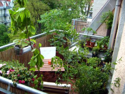 Balkon