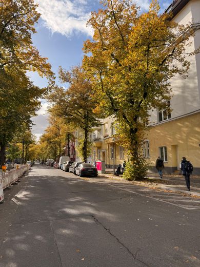 Ruhige, schöne Altbau-Wohnung (2 Zimmer) in Berlin-Tempelhof für 5 Monate (ab 1.11.2025) zu vermieten