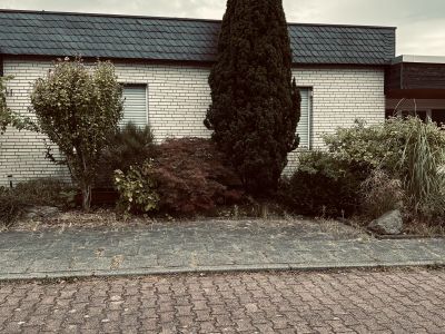 Bungalow