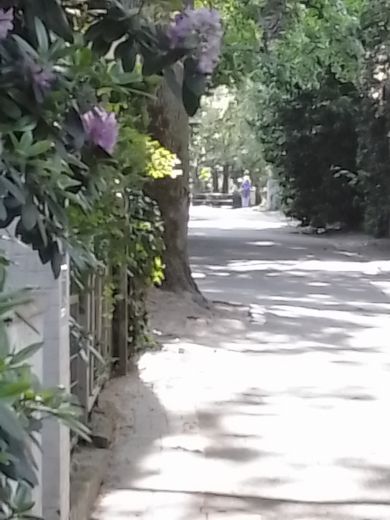 Apartment  Harvestehude. Südbalkon, grosser Pool, Sauna.