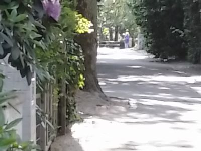 Apartment  Harvestehude. Südbalkon, grosser Pool, Sauna.