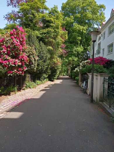 Apartment  Harvestehude. Südbalkon, grosser Pool, Sauna.