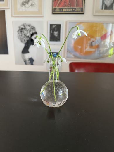 Schöne 2-Zimmerwohnung zu vermieten